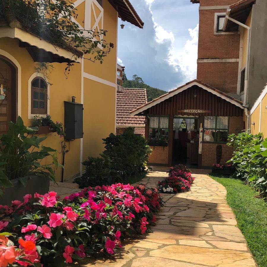 Palma Monte Verde (Minas Gerais)